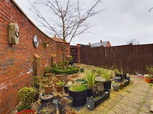 Rear courtyard style garden- click for photo gallery